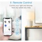 Meross MSS210 Smart Wi-Fi Plug
